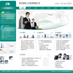 人才咨詢公司網(wǎng)站